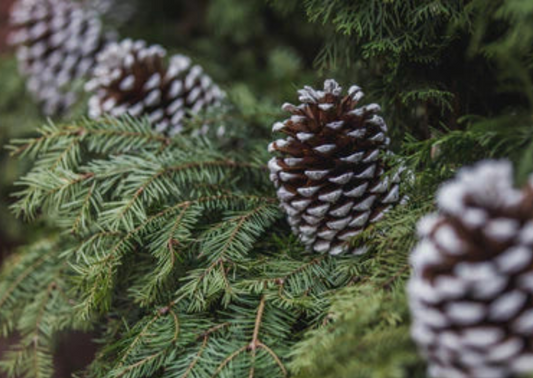 YULE WREATH MAKING - Saturday, 30th November (SOLD OUT)